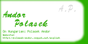 andor polasek business card